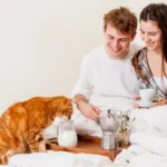 denne-vane-hos-en-kat-ved-maaltiderne-kan-vaere-farlig.webp.webp