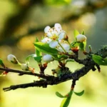 ferie-i-dag-22-maj-hvad-du-ikke-skal-goere.webp.webp
