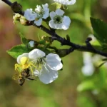 ferie-i-dag-28-maj-hvad-er-forbudt-at-goere.webp.webp