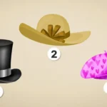 hat-choice-afsloerer-hvad-dine-venner-taenker-om-dig-den.webp.webp