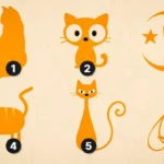 test-af-karaktertraek-hvad-dit-valg-af-kat-siger-om.webp.webp